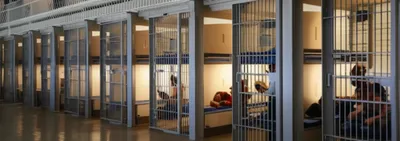 Illustration pod - Image 1