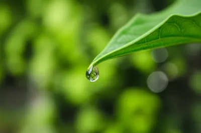 Illustration distilled - Image 1