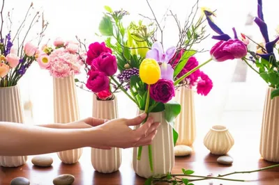 Illustration arrangements