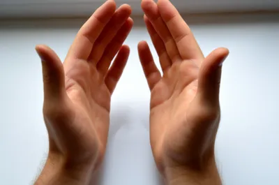 Illustration trap - Image 1