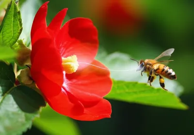 Illustration linked - Image 1