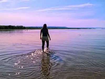 Illustration shallow - Image 2