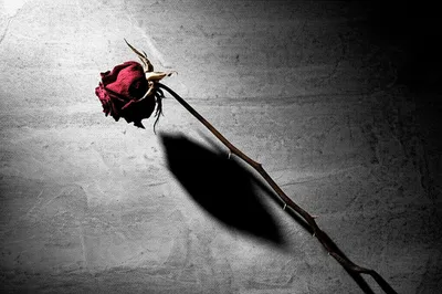 Illustration roughly