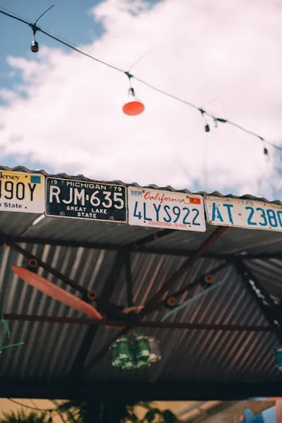 Illustration licenses - Image 2