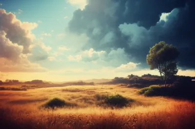 Illustration gloom - Image 1