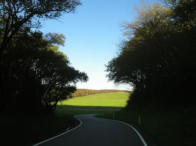 Illustration proceedings - Image 1