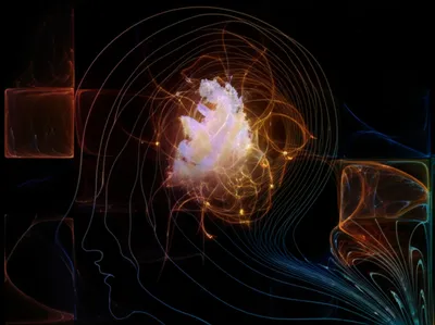 Illustration inward - Image 1