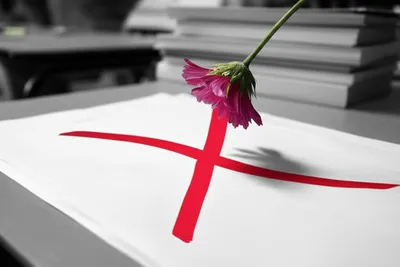 Illustration fails - Image 1