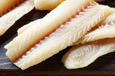 Illustration bacalao