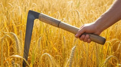 Illustration scythes