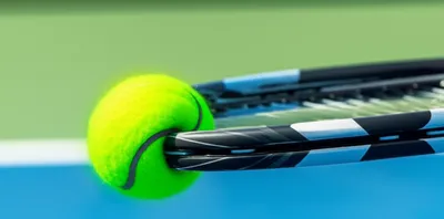 Illustration framed - Image 1