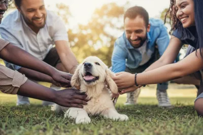 Illustration favorites