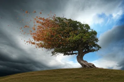 Illustration gusts - Image 1