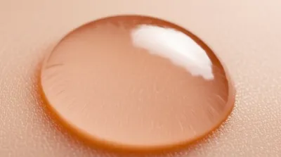 Hình ảnh minh họa bleb - Ảnh 1