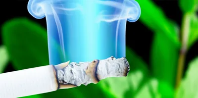 Illustration menthol - Image 1