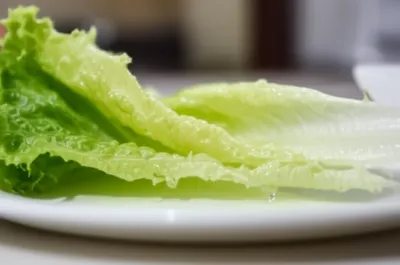 Hình ảnh minh họa watery - Ảnh 1