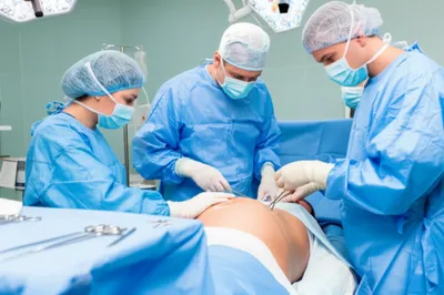 Illustration sectioning - Image 1