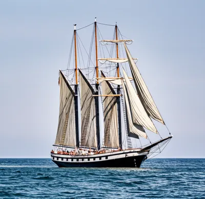 Illustration mizzen - Image 1