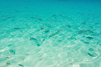 Illustration limpid - Image 1