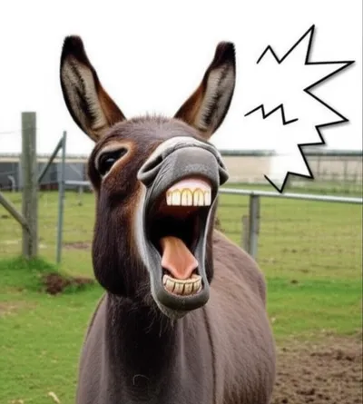 Illustration heehaws - Image 1