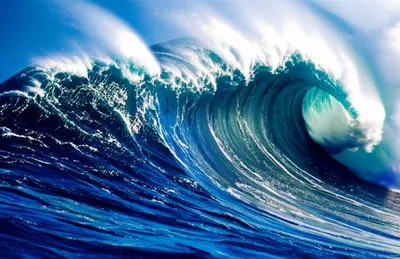 Illustration seas - Image 1