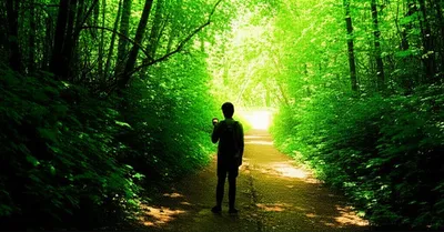 Illustration conclusions - Image 1