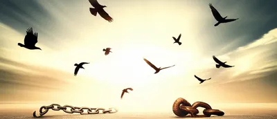 Illustration unrestrained