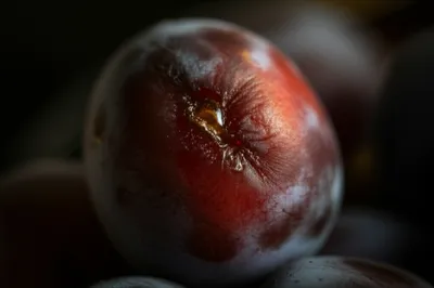 Illustration fester - Image 1