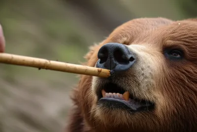 Illustration provoking - Image 1