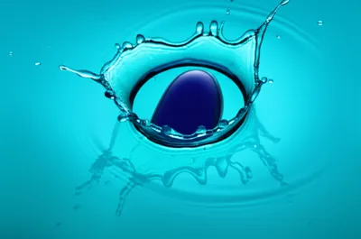 Illustration douse - Image 1