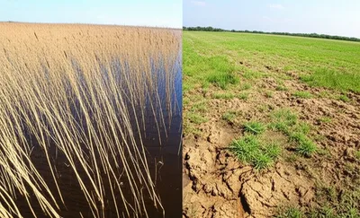 Illustration drain - Image 1