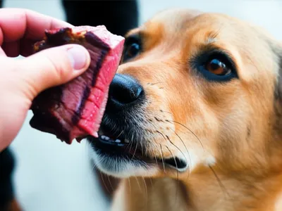 Illustration dags - Image 1