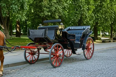 Illustration flys - Image 1