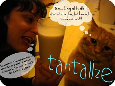 Illustration tantalize - Image 2