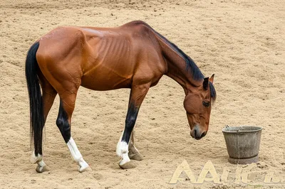 Illustration plug - Image 1