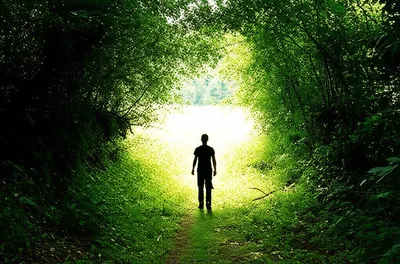 Illustration winning - Image 1