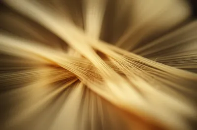 Illustration spun - Image 1