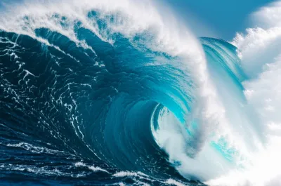 Illustration comb - Image 1