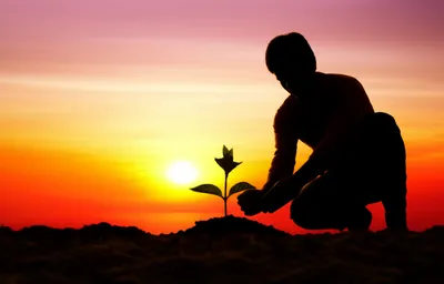 Illustration endeavored - Image 1