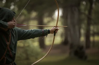 Illustration bows - Image 1