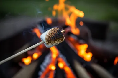 Illustration scorched - Image 1