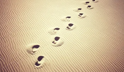 Illustration lag - Image 1