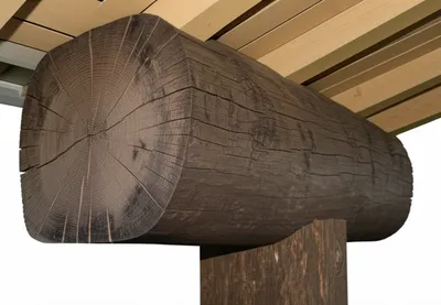 Illustration timber - Image 1