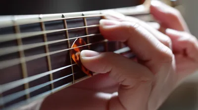 Illustration plectrum