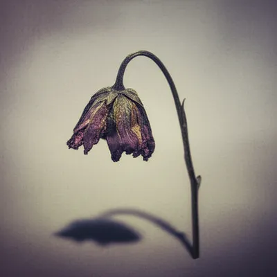 Illustration depresses