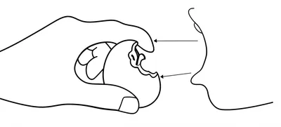 Illustration mouth - Image 1