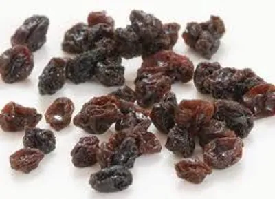 Illustration currant - Image 2