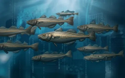 Hình ảnh minh họa leet - Ảnh 1