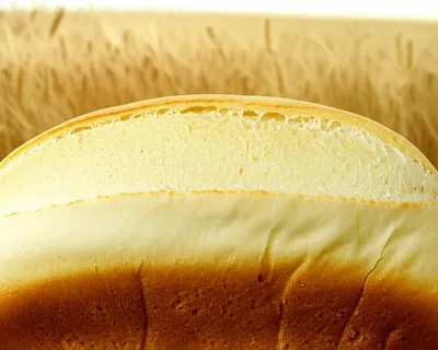 Illustration wheaten - Image 1