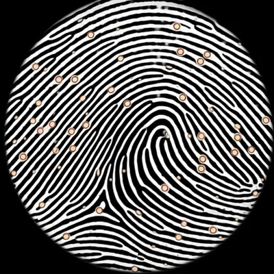 Hình ảnh minh họa minutiae - Ảnh 1